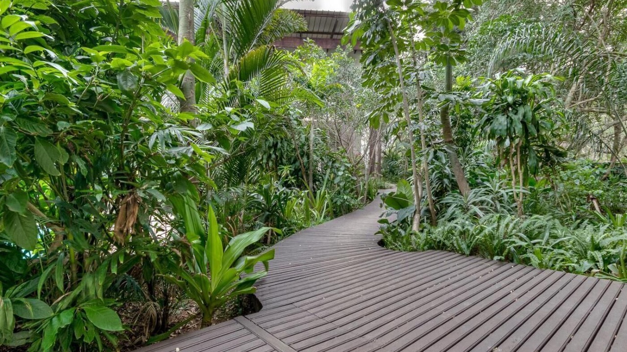 Photo of Outdoor in St. Lucia