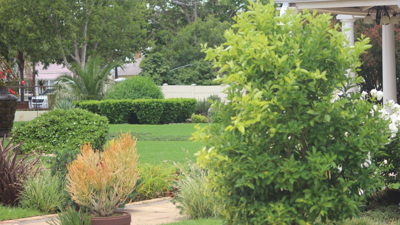 Photo of Outdoor in Vryheid