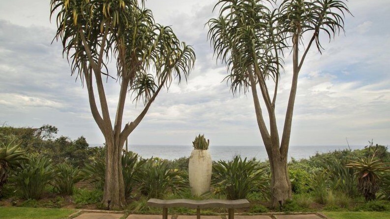 Photo of Outdoor in Bluff