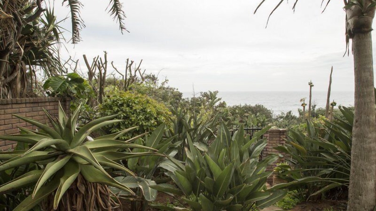 Photo of Outdoor in Bluff
