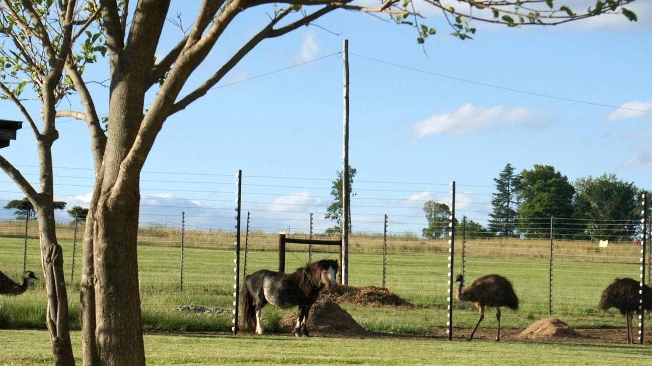 Photo of Outdoor in Glencoe