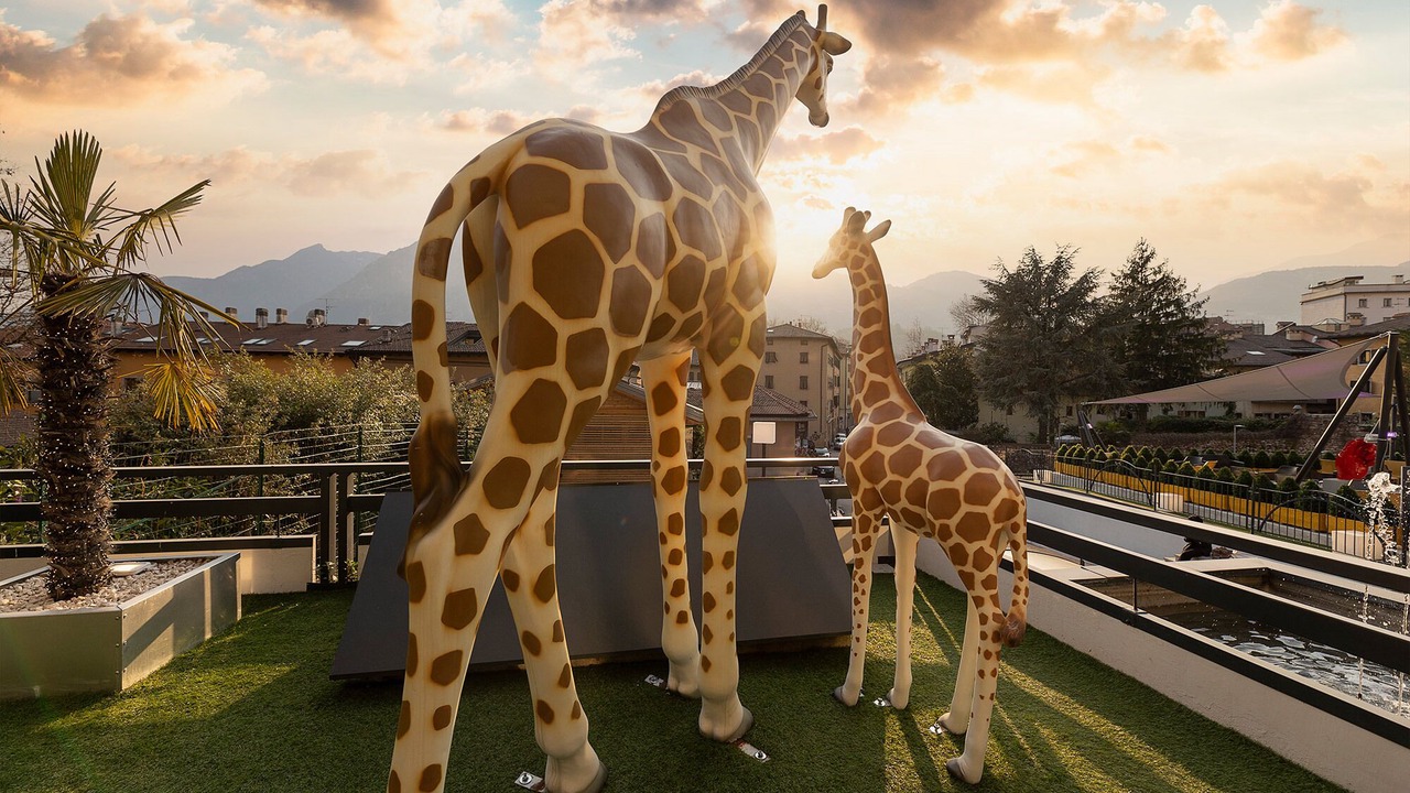 Photo of Outdoor in Trento