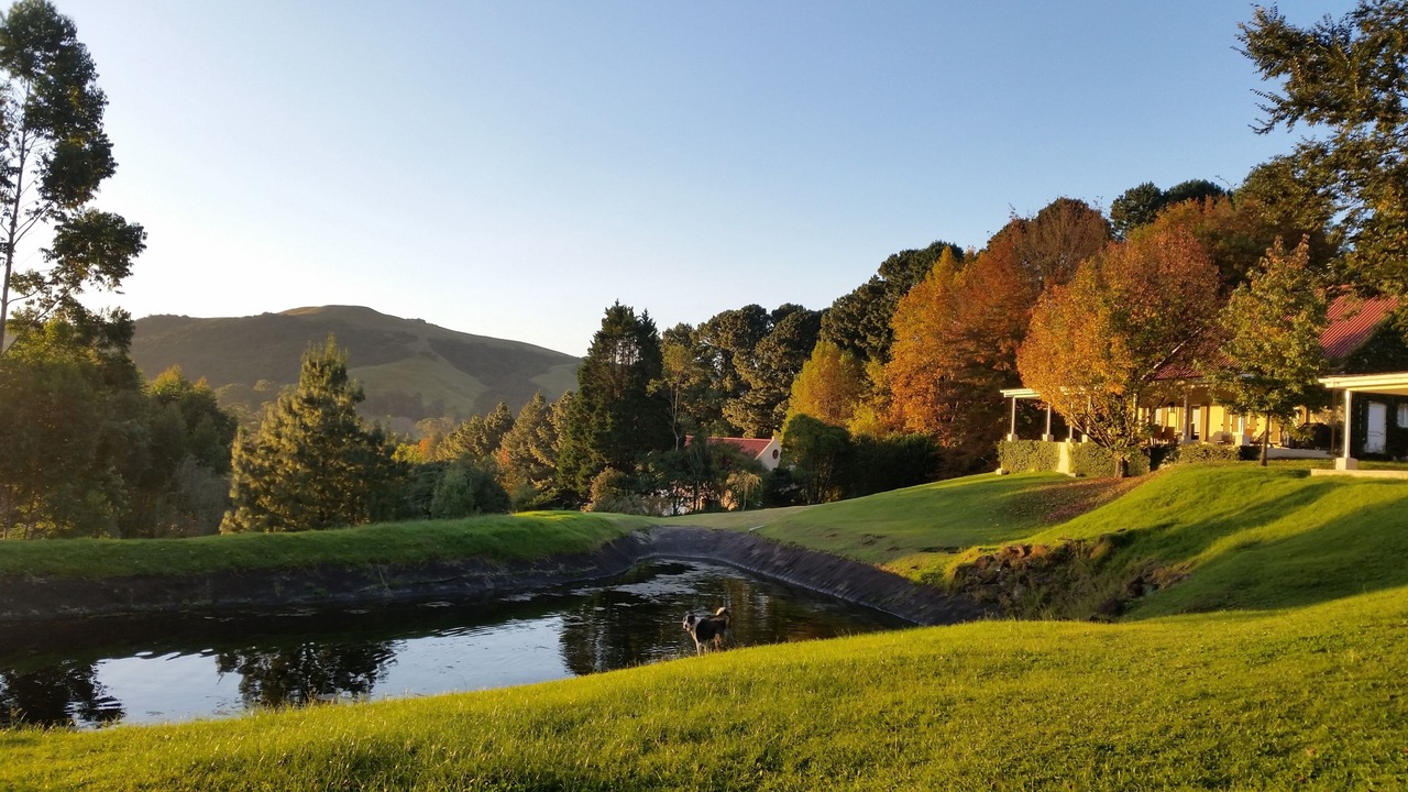 Photo of Outdoor in Balgowan