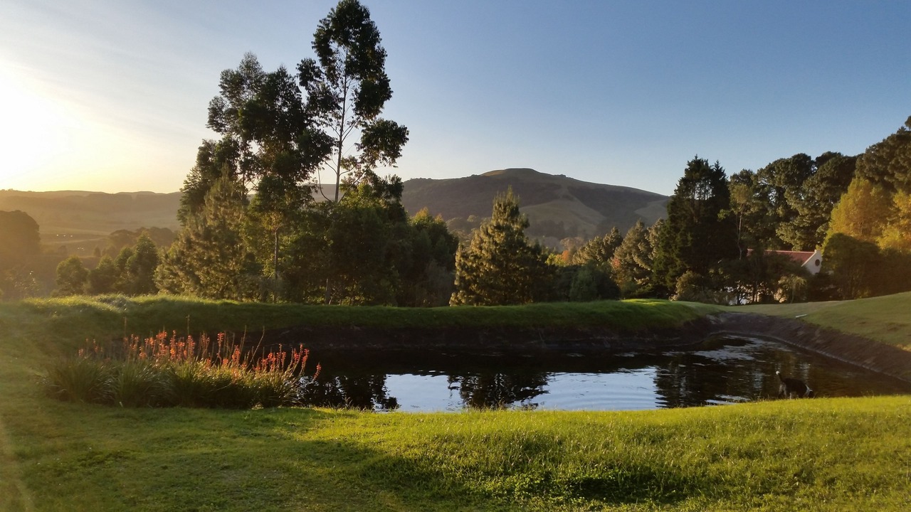 Photo of Outdoor in Balgowan