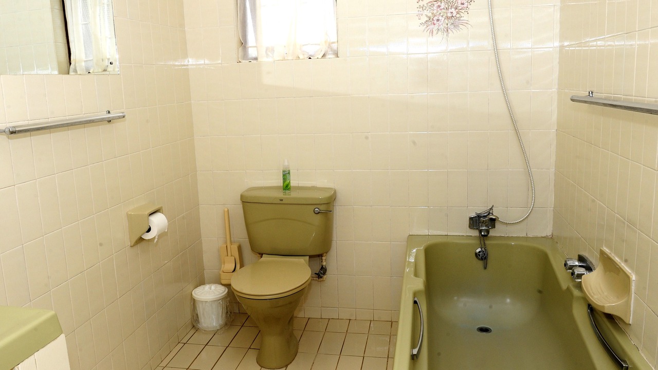 Photo of Bathroom in Berea