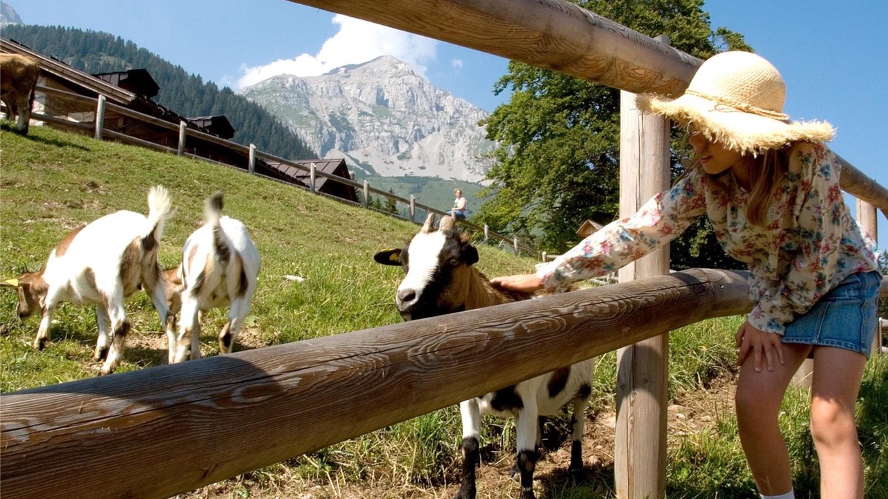 Photo of Outdoor in Molveno