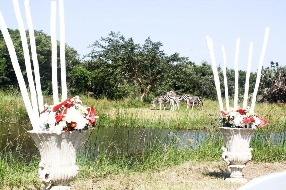 Photo of Outdoor in Hluhluwe
