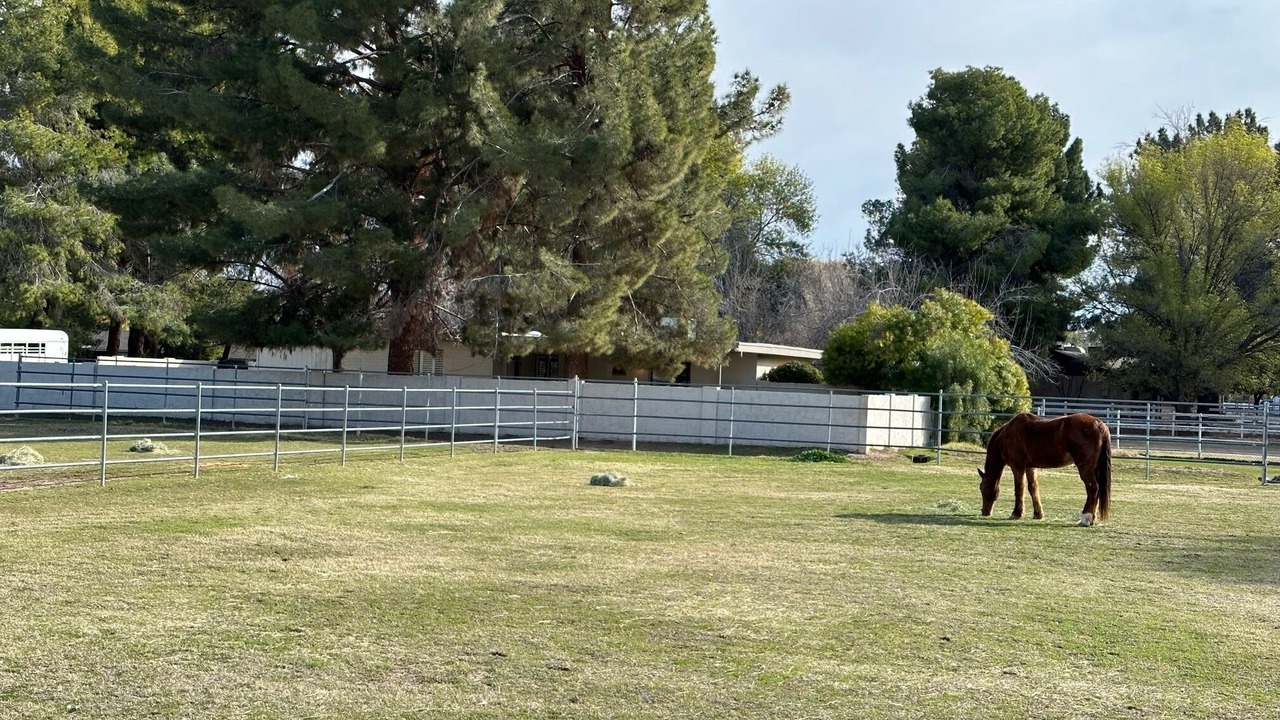 Photo of Outdoor in South Mountain