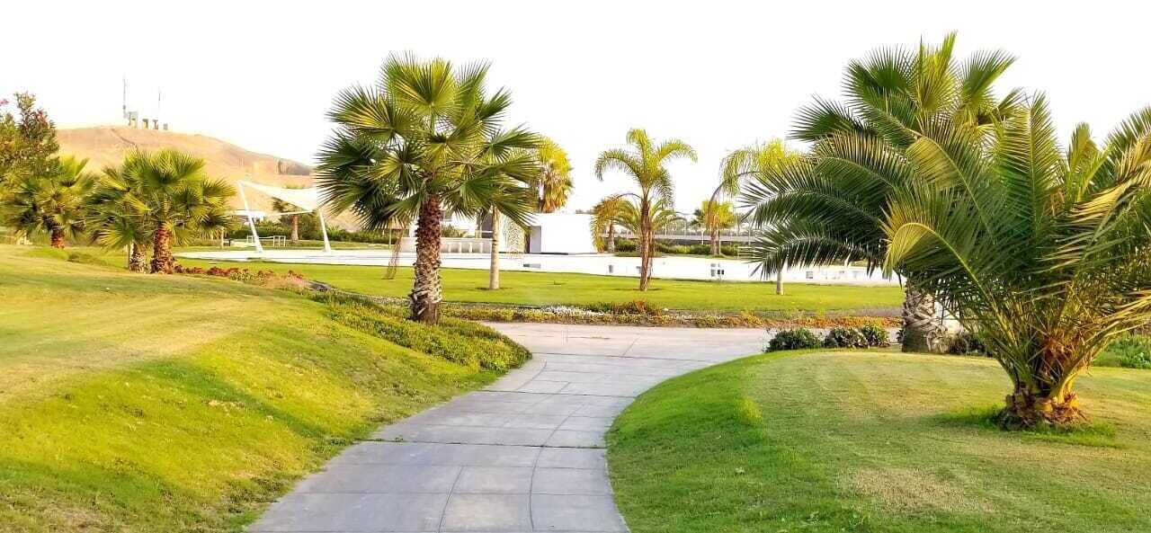 Photo of Outdoor in Asia