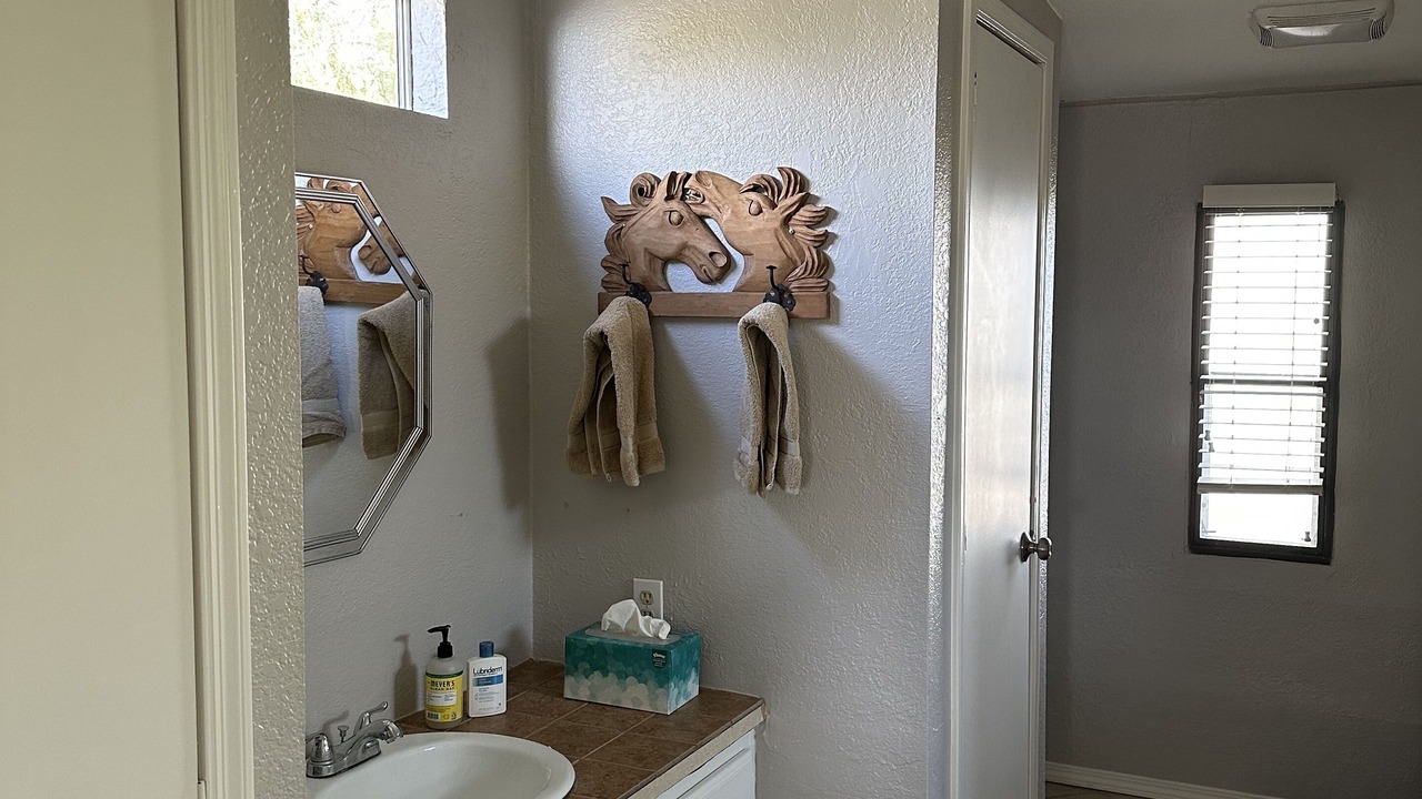 Photo of Bathroom in Apache Junction