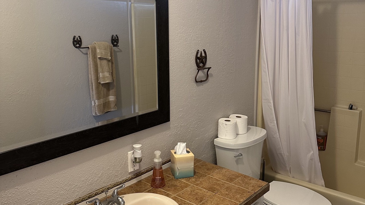 Photo of Bathroom in Apache Junction