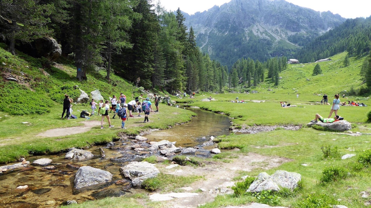 Photo of Others in Transacqua