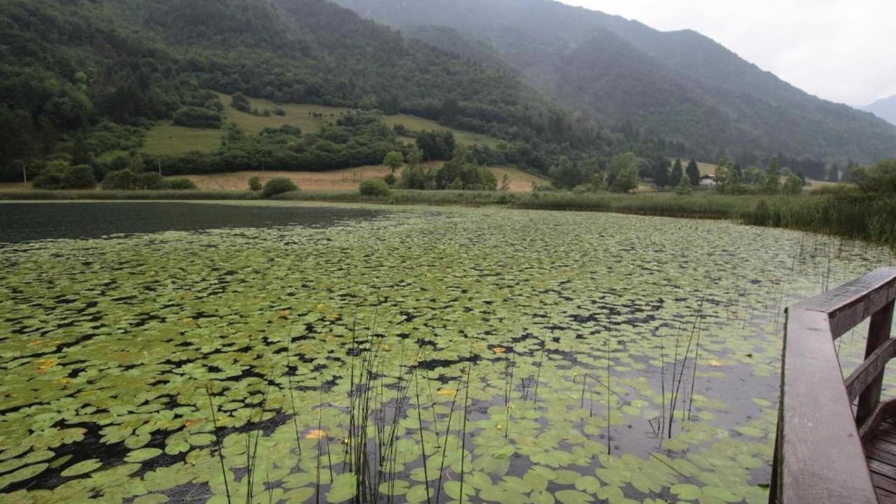 Photo of Others in Molina di Ledro