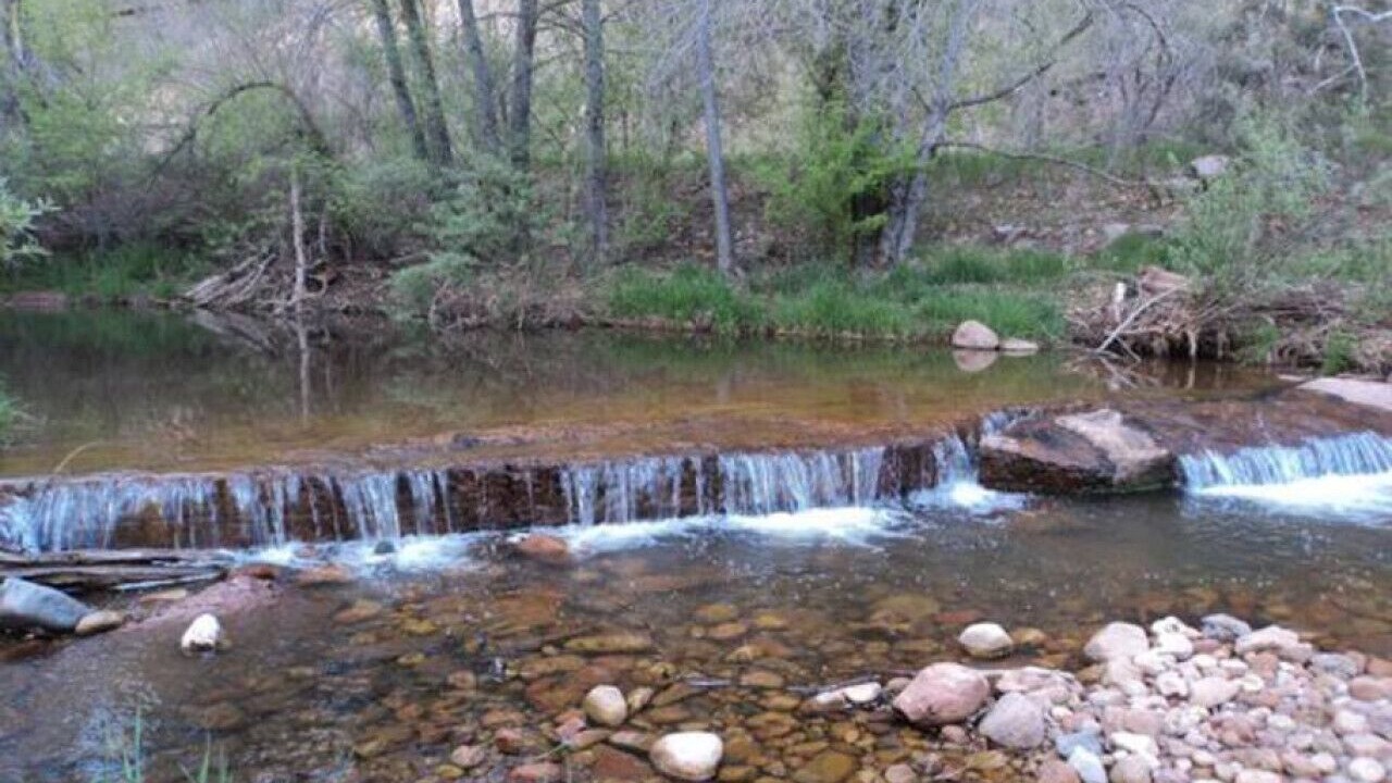 Photo of Others in Kohls Ranch