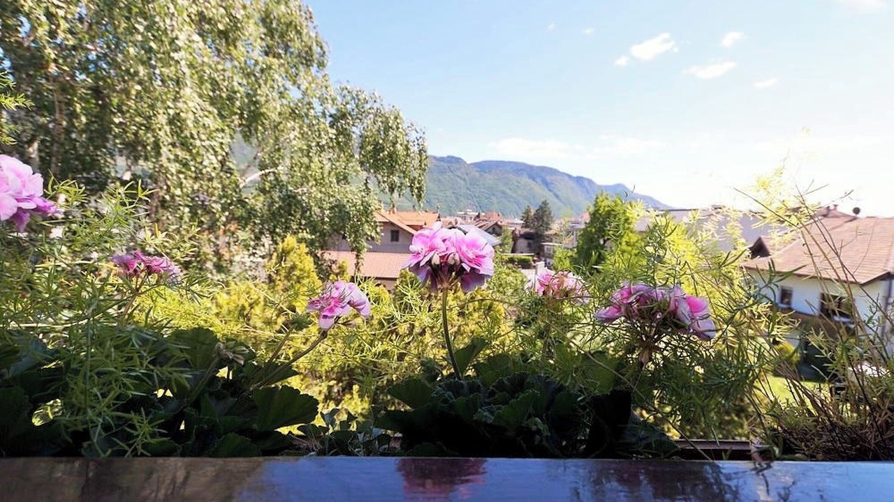 Photo of Outdoor in Lana