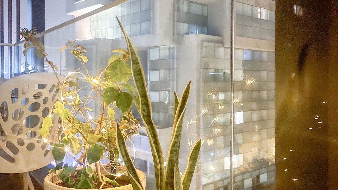 Photo of Outdoor in Miraflores
