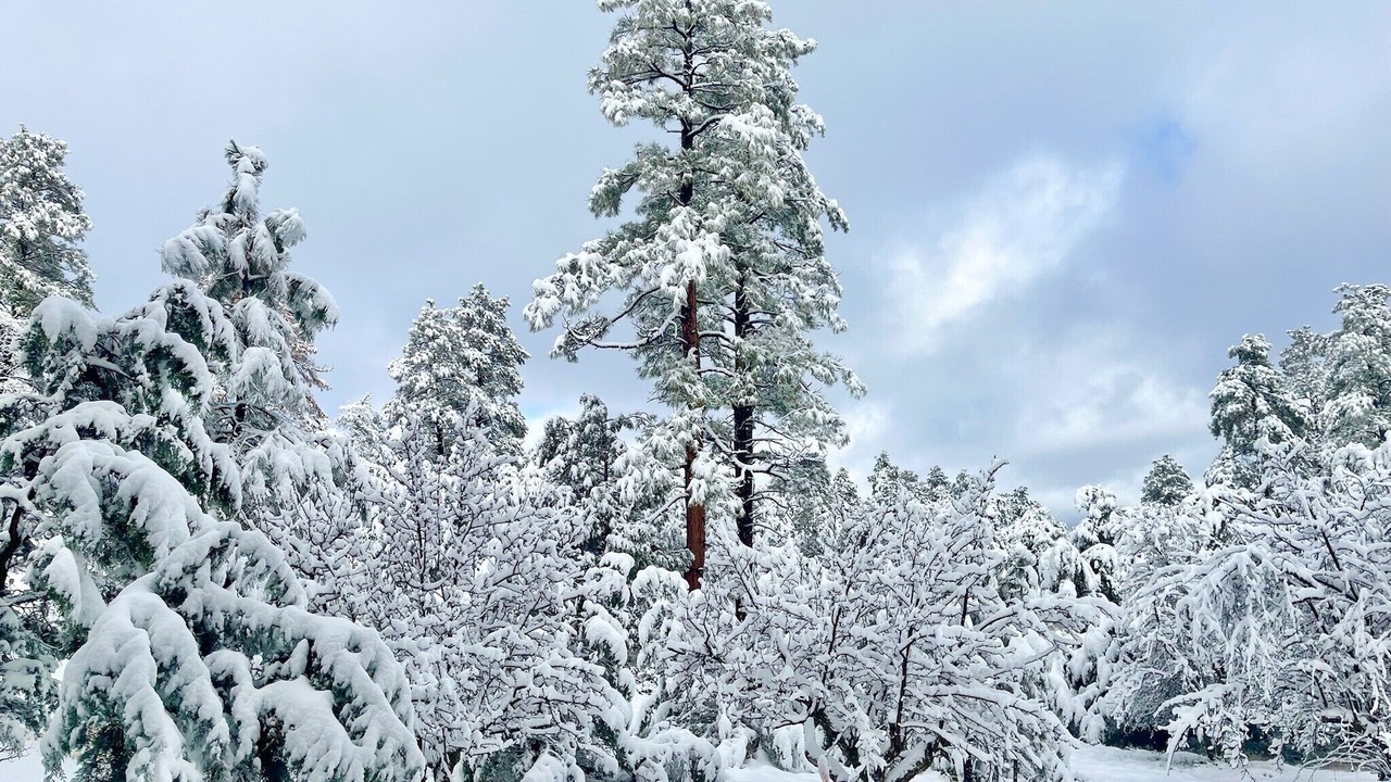 Photo of Outdoor in Oak Knoll Village