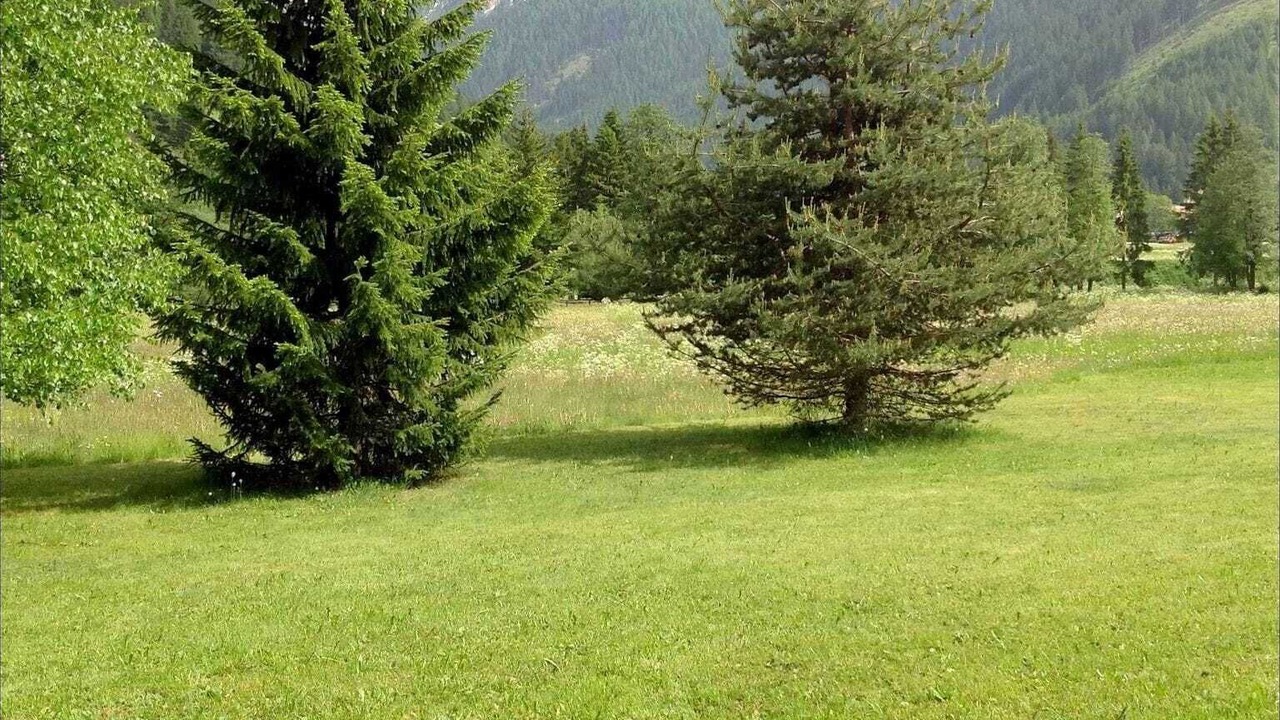 Photo of Outdoor in Pera