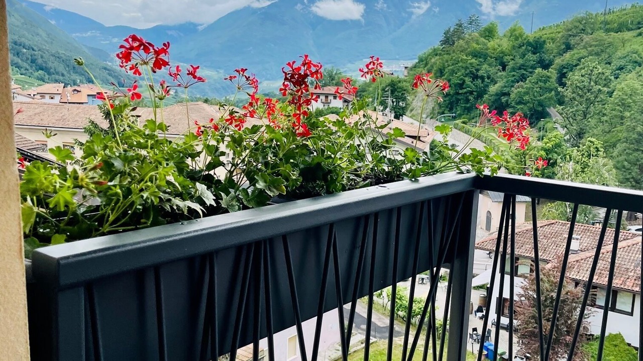 Photo of Outdoor in Ton
