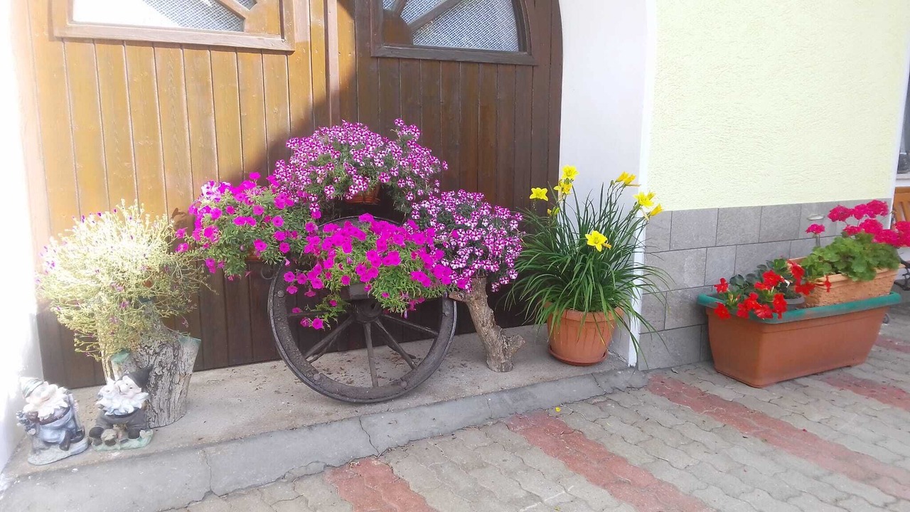Photo of Outdoor in Brez