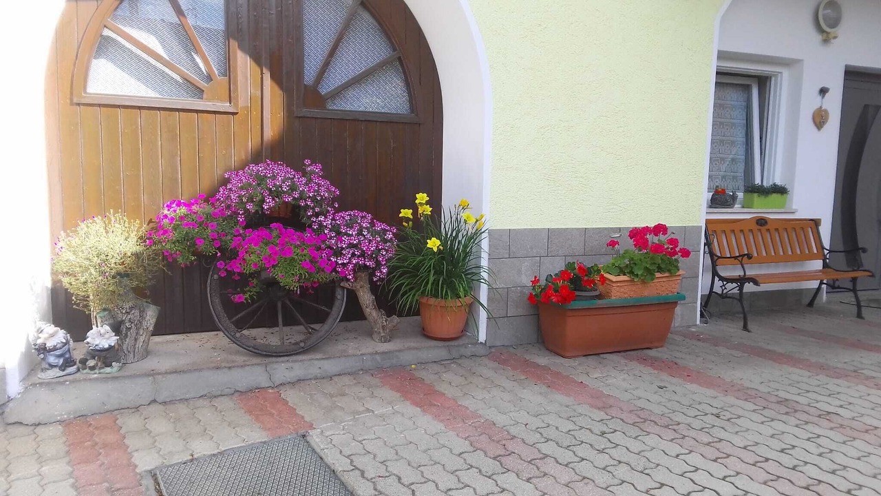 Photo of Outdoor in Brez