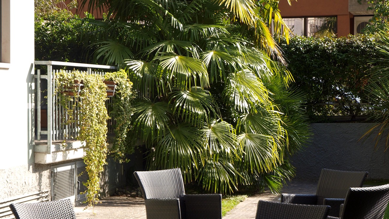Photo of Outdoor in Riva del Garda