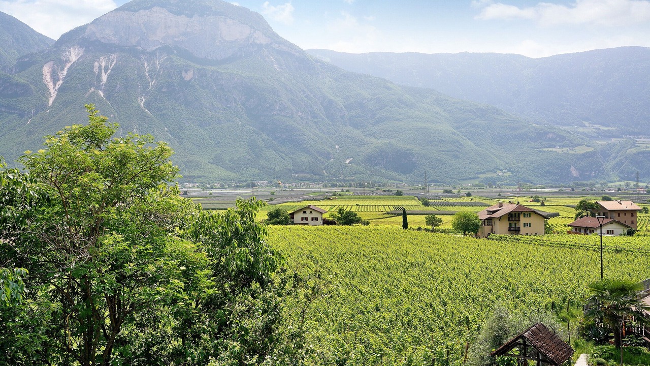 Photo of Others in Magre sulla Strada del Vino