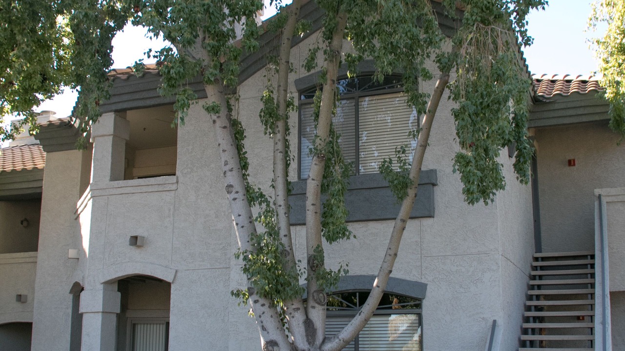 Photo of Others in North Scottsdale