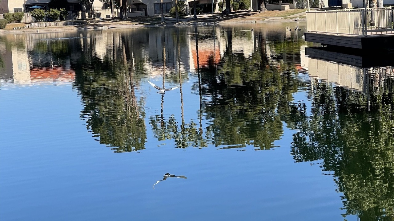 Photo of Others in Lake Biltmore Village