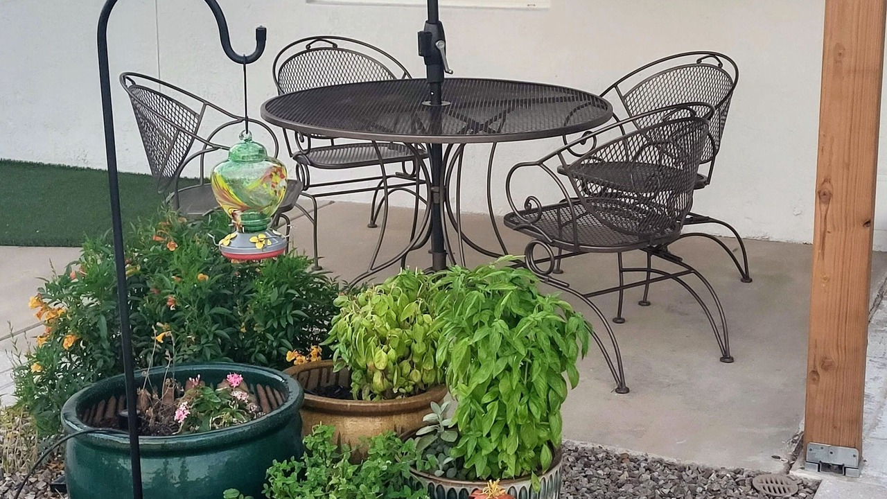 Photo of Outdoor in Oracle Heights Estates