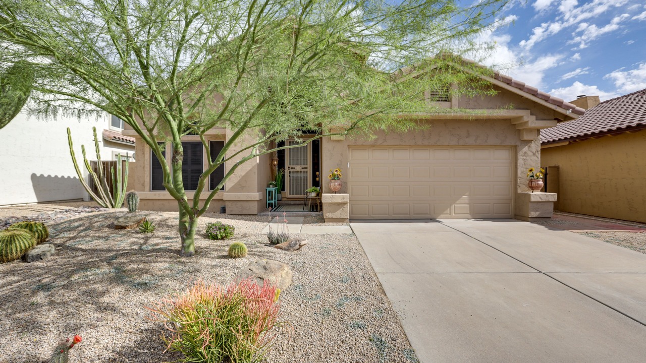 Photo of Outdoor in Tatum Ranch