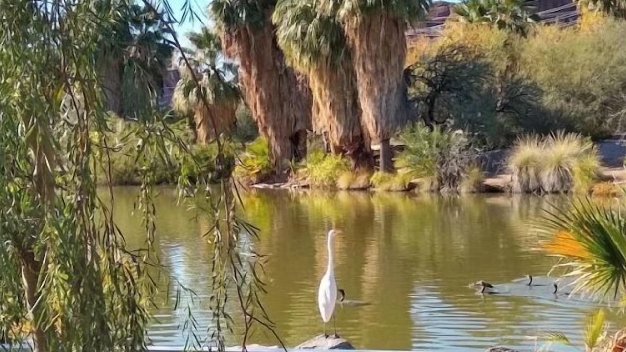 Photo of Outdoor in Tempe