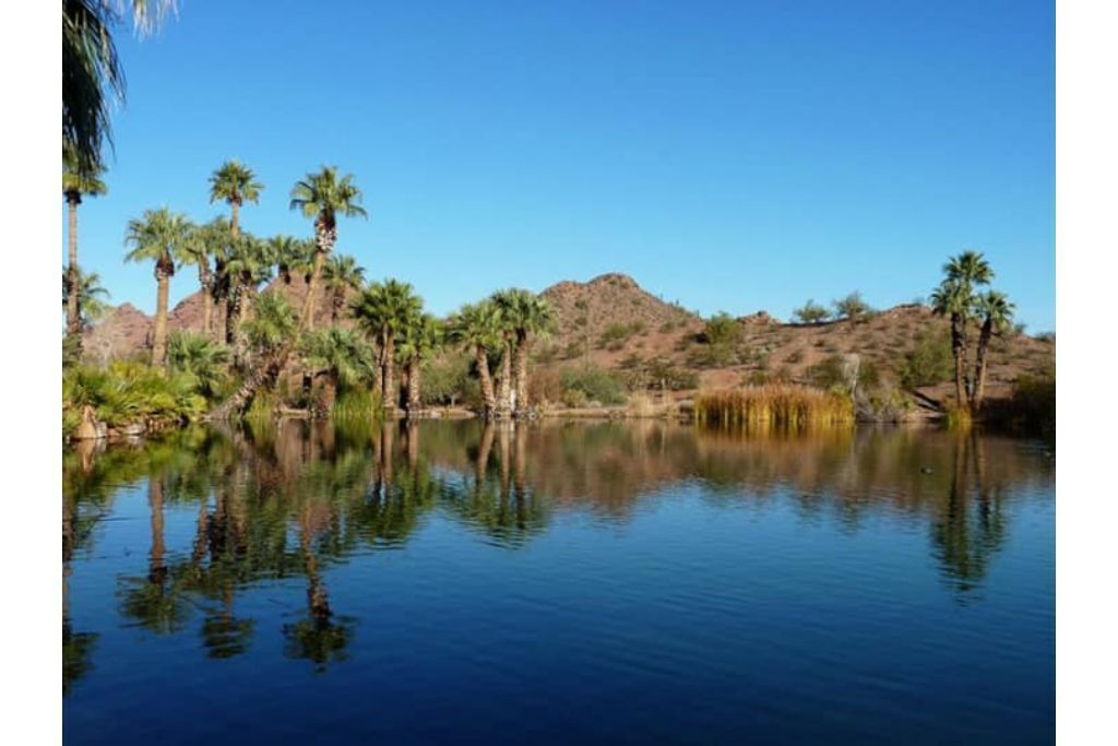 Photo of Others in Tempe