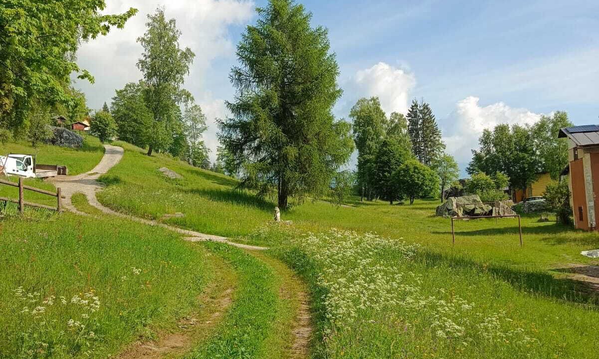 Photo of Outdoor in Tione di Trento