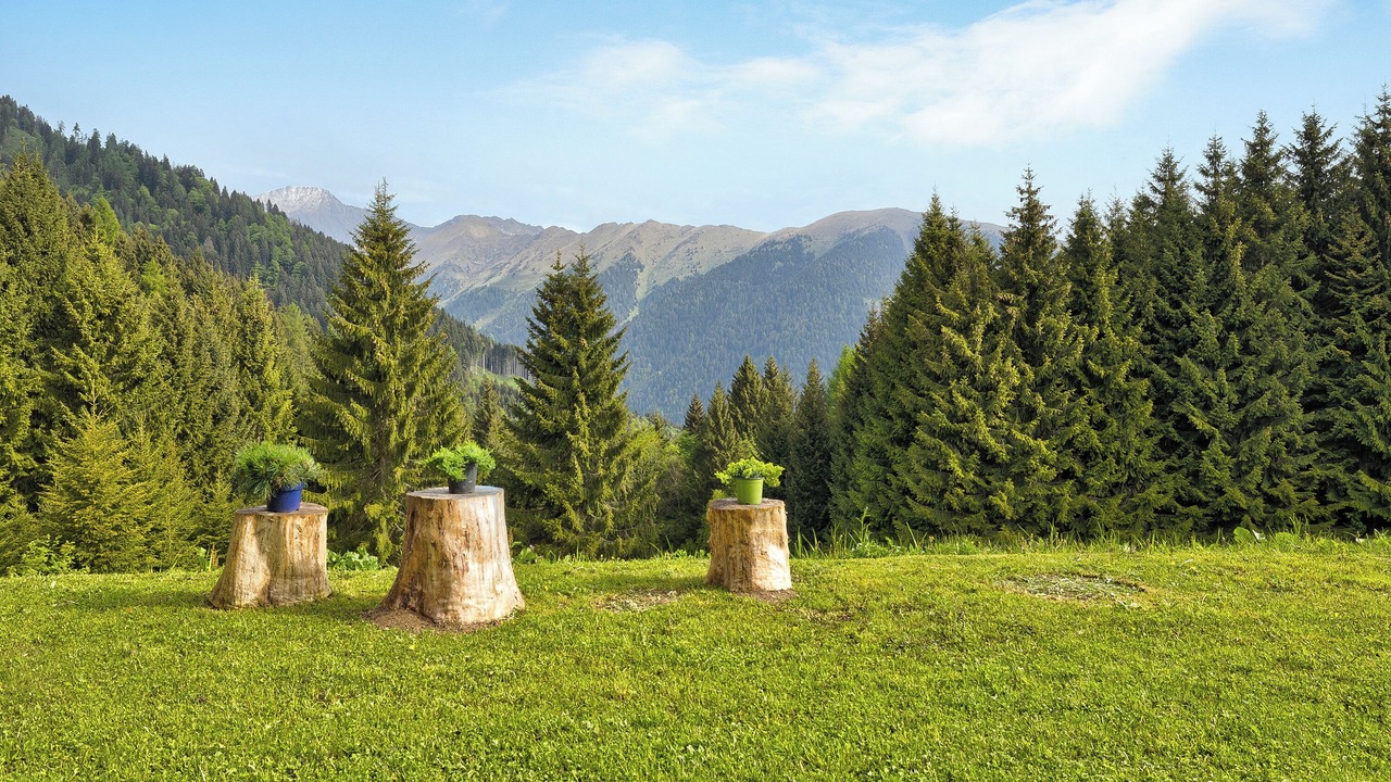 Photo of Outdoor in Sella Giudicarie