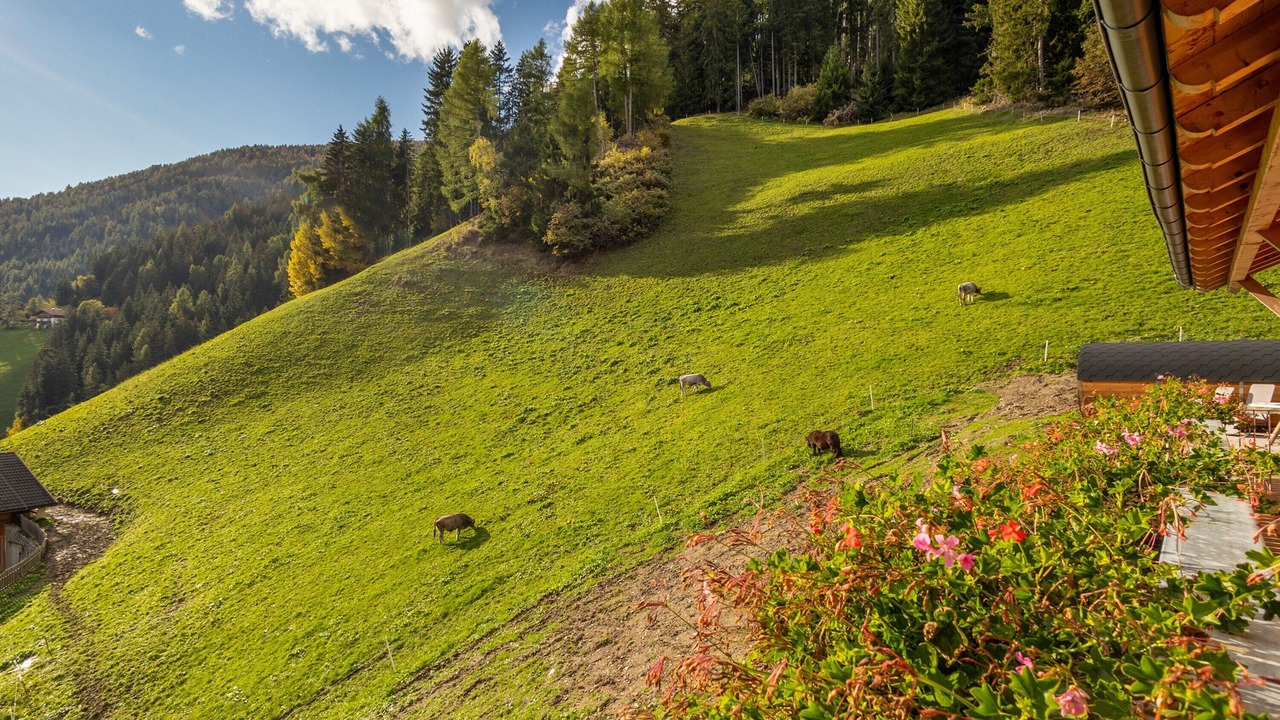 Photo of Outdoor in Vallarga