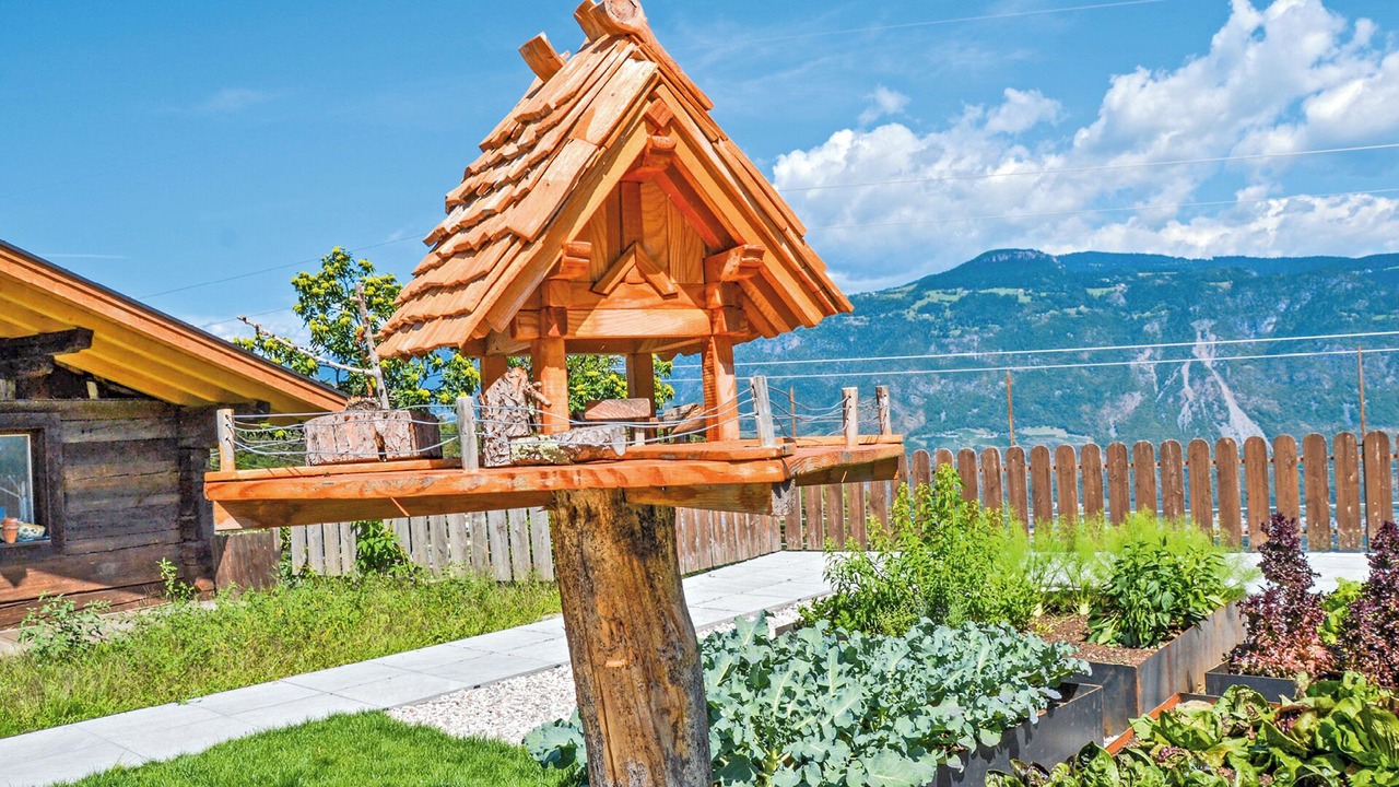 Photo of Outdoor in Lana