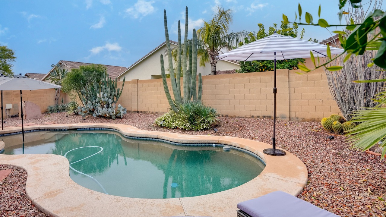 Photo of Outdoor in Dysart Cactus