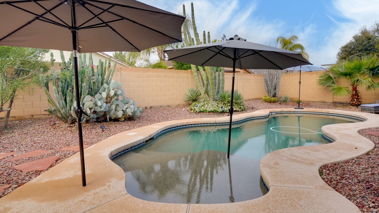 Photo of Outdoor in Dysart Cactus