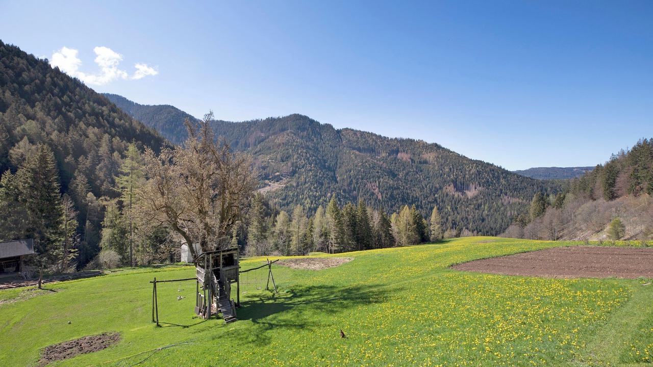 Photo of Others in Redagno