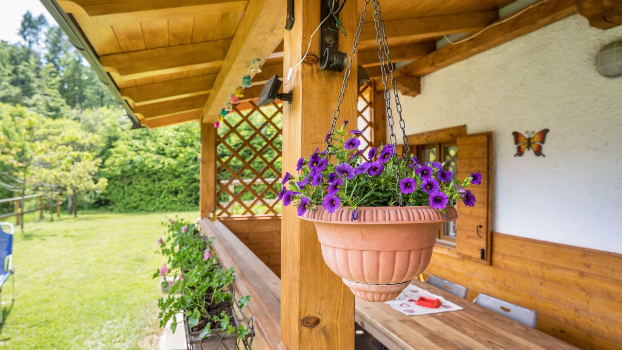 Photo of Patio Balcony in Barco
