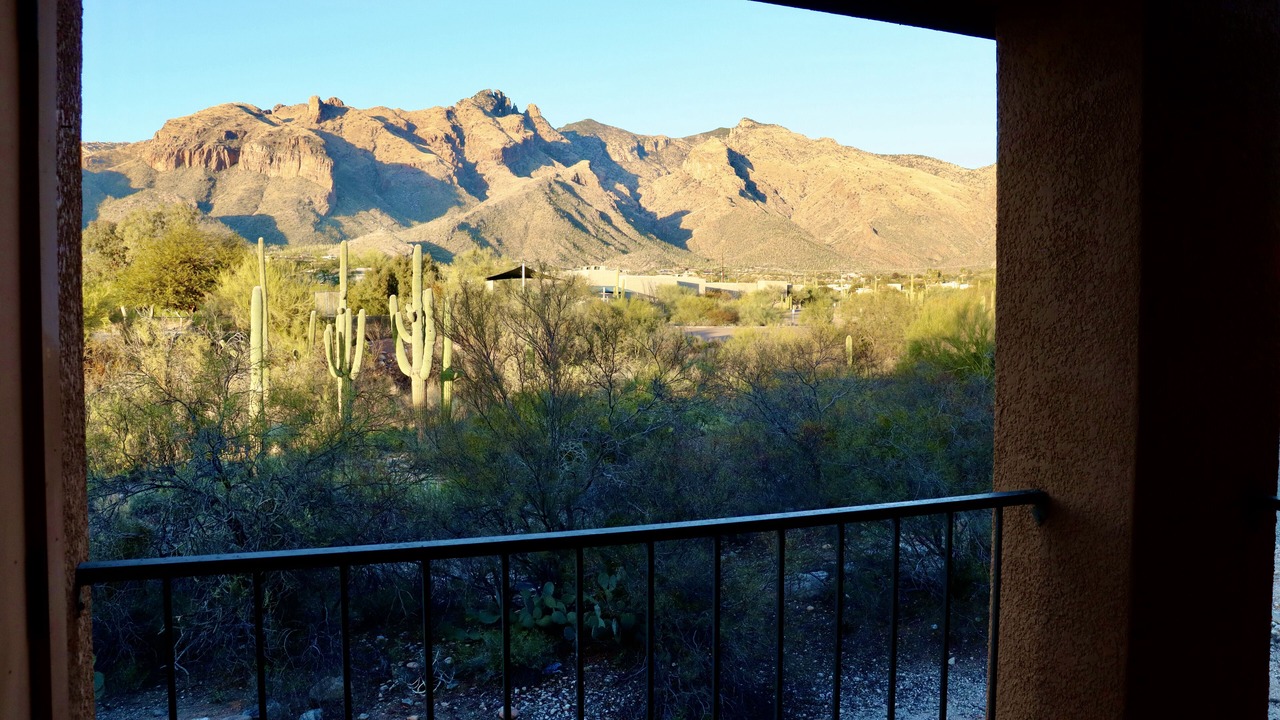 Photo of Others in Tucson
