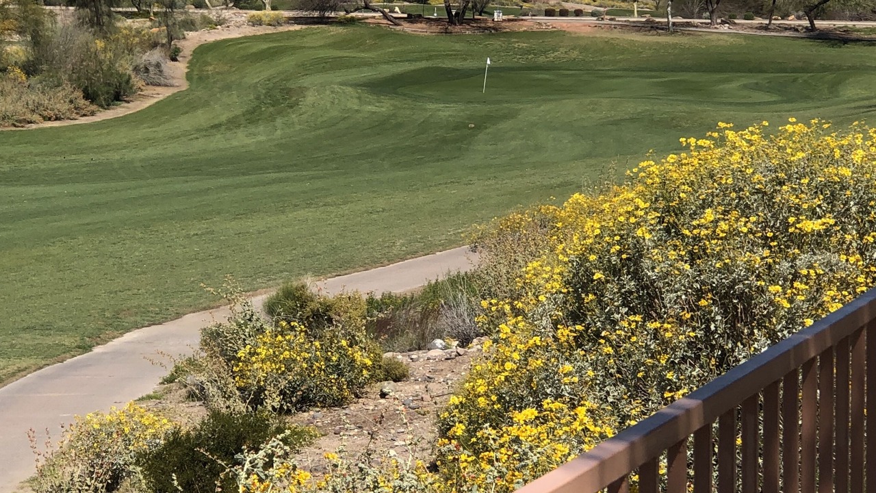 Photo of Outdoor in Coyote Lakes
