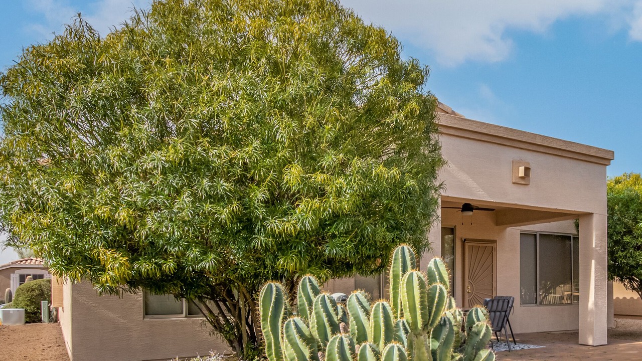 Photo of Outdoor in Gold Canyon