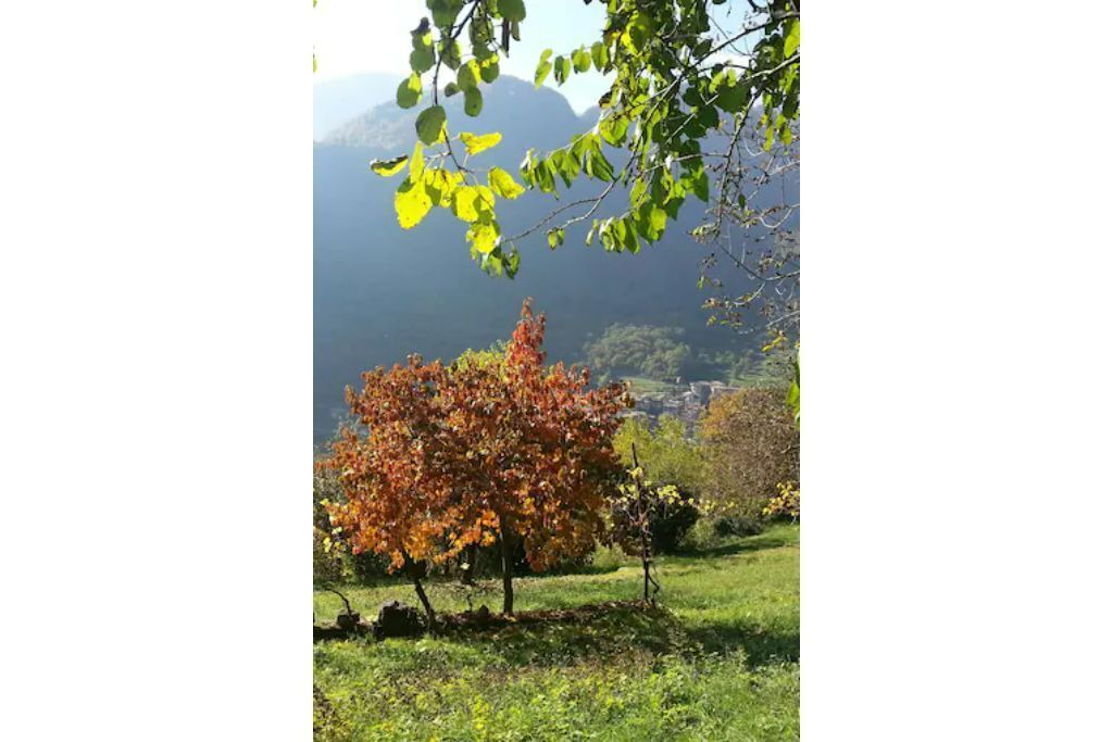 Photo of Others in Ville del Monte