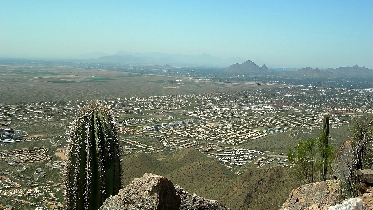 Photo of Others in South Scottsdale
