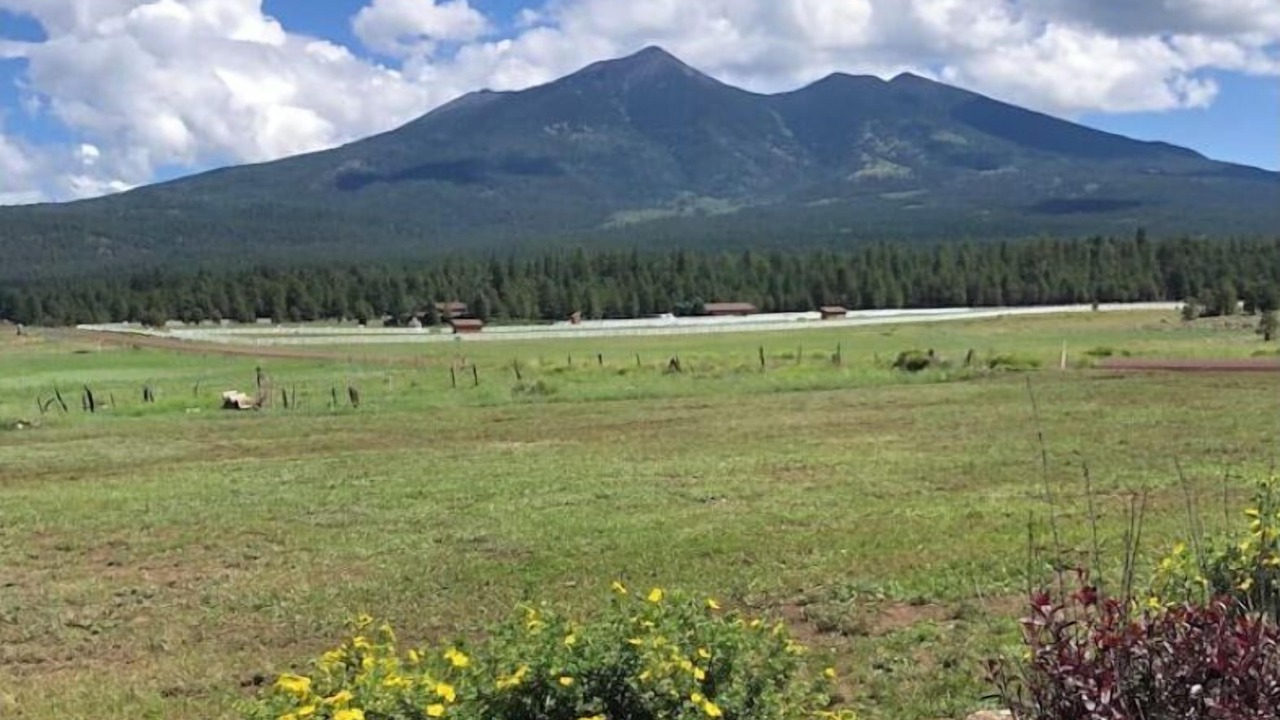 Photo of Outdoor in Fort Valley