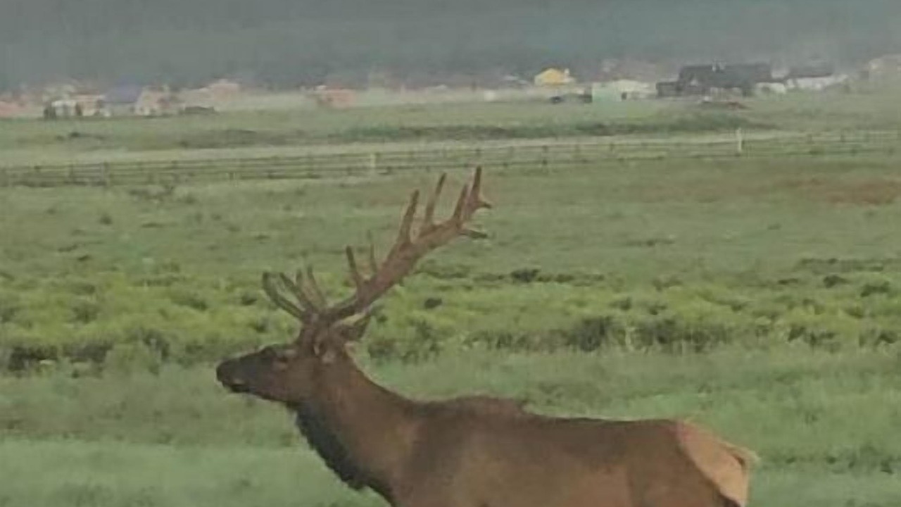 Photo of Others in Fort Valley