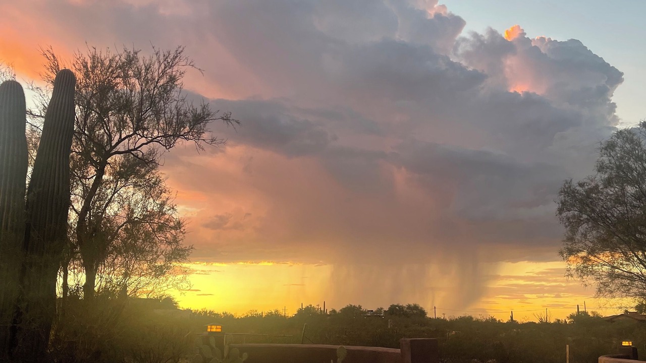 Photo of Outdoor in Tucson