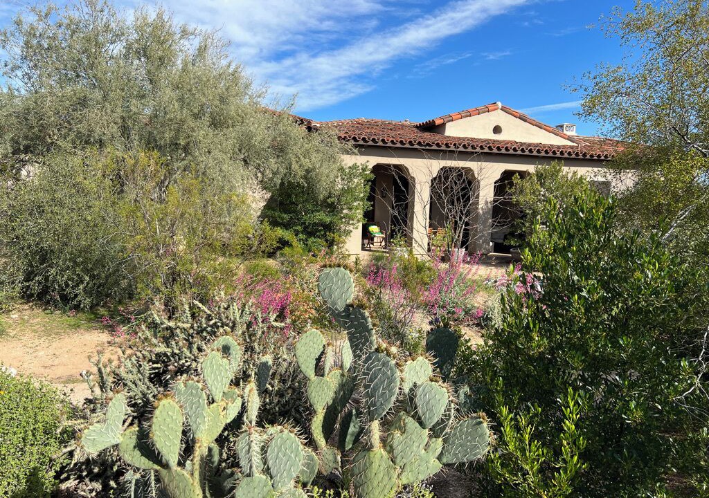 Photo of Outdoor in North Scottsdale